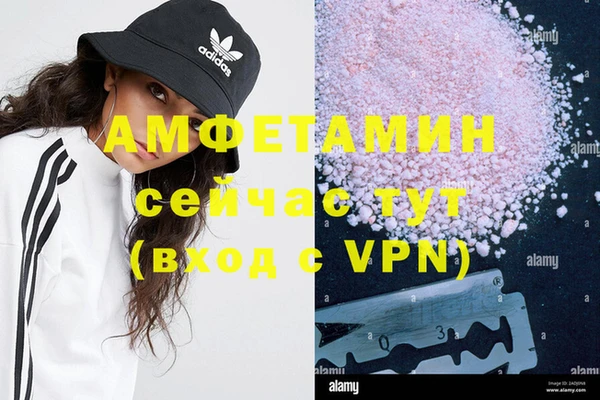 стаф Карпинск