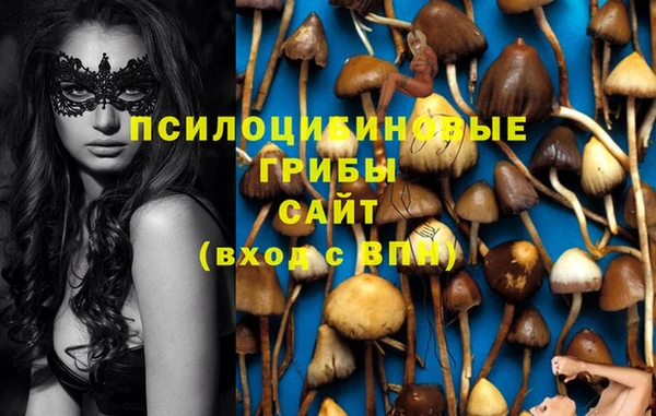 стаф Карпинск