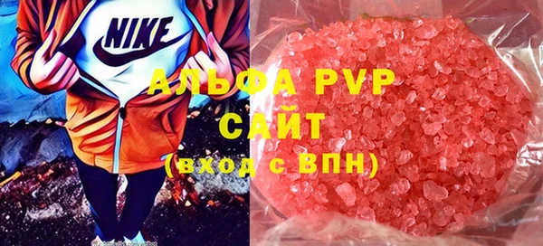 стаф Карпинск
