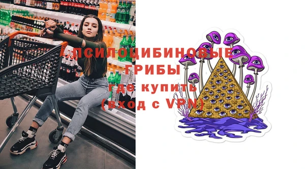 стаф Карпинск