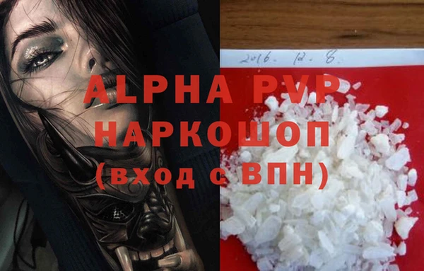 стаф Карпинск