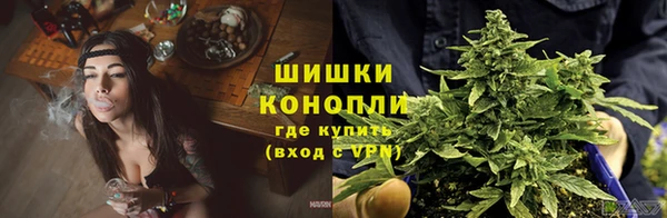 крисы Касимов