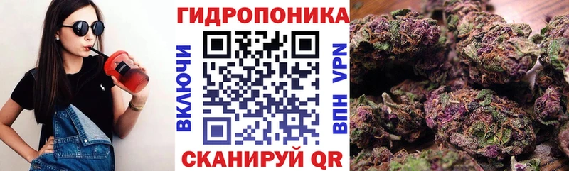 купить наркотик  Кирсанов  площадка состав  Канабис марихуана 